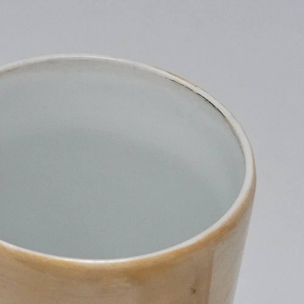 Porcelain O. & E.G. Royal Austria Vase 